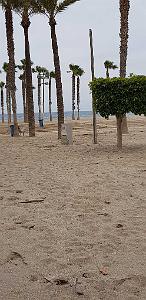 HOMMAGE A N.D. DE SANTA CRUZ A DALIAS DU 7 AU 10 JUIN 2019 (601) ESCAPADE A CARBONERA ET MOJACA 